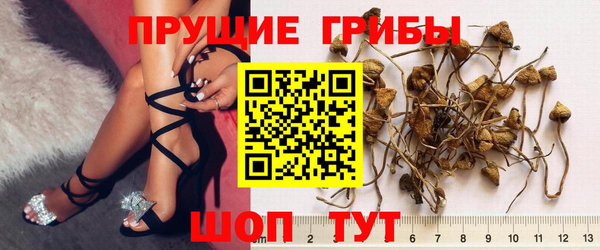 Псилоцибиновые грибы мухоморы Великий Устюг