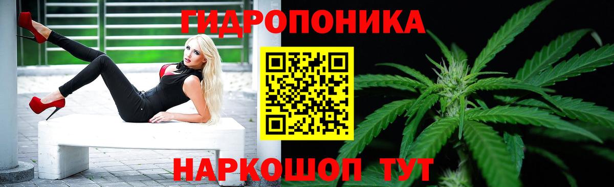 Бошки марихуана THC 21% Великий Устюг